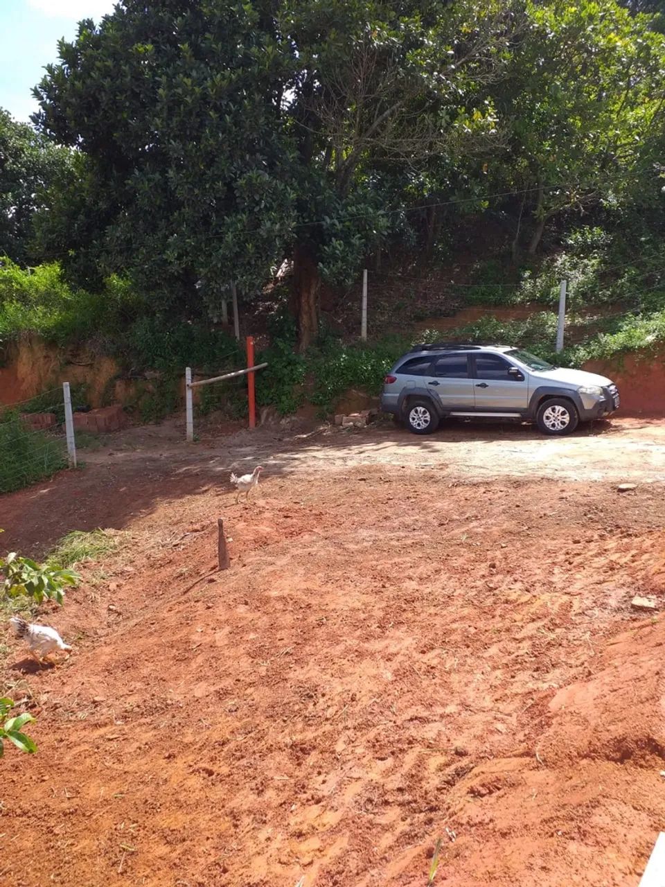 Terreno com casa  - Foto 5