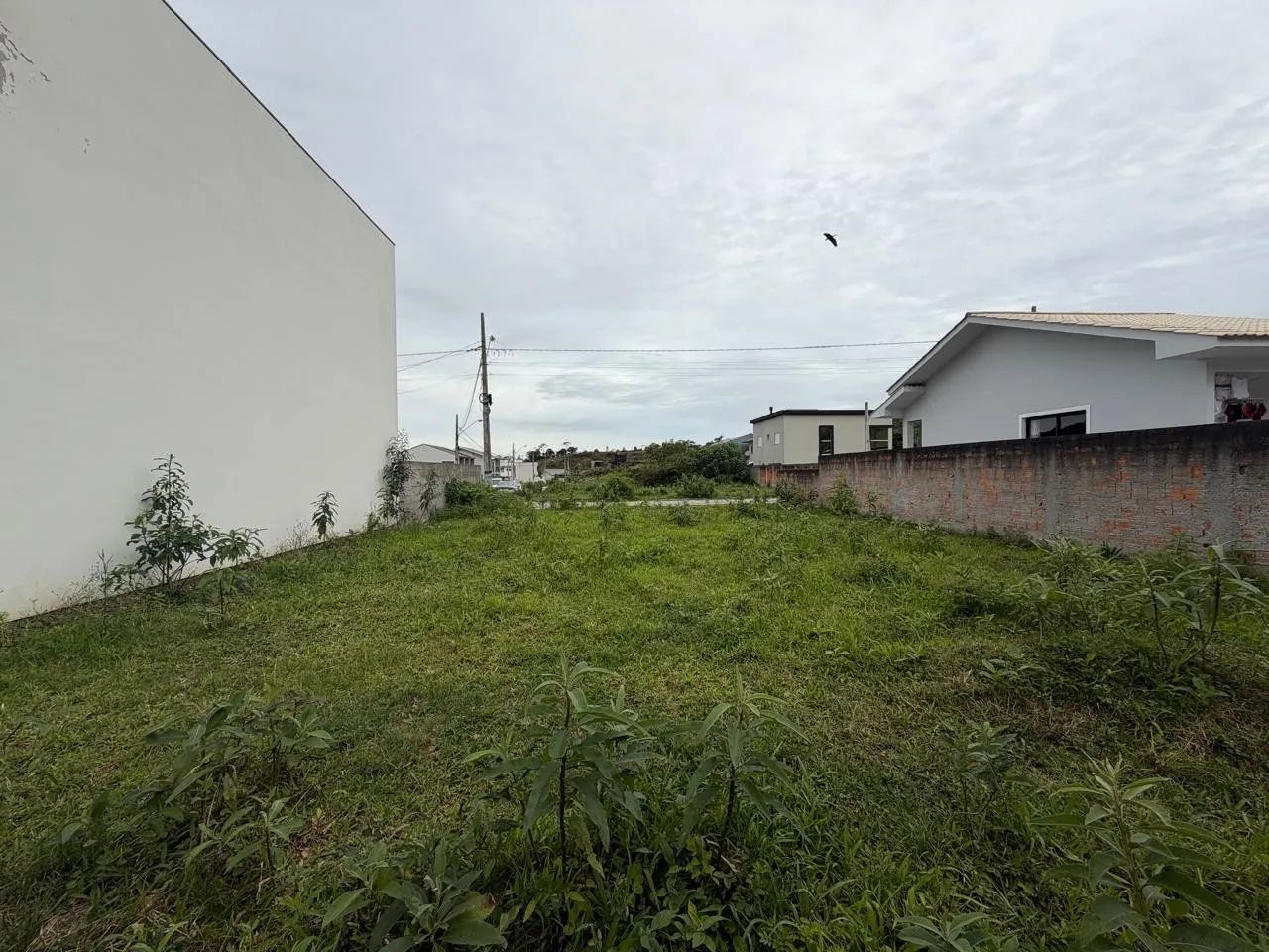 Terreno para Venda em São José, Forquilhas - Foto 5