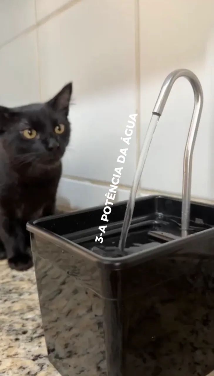 Bebedouro de Pet - Foto 4