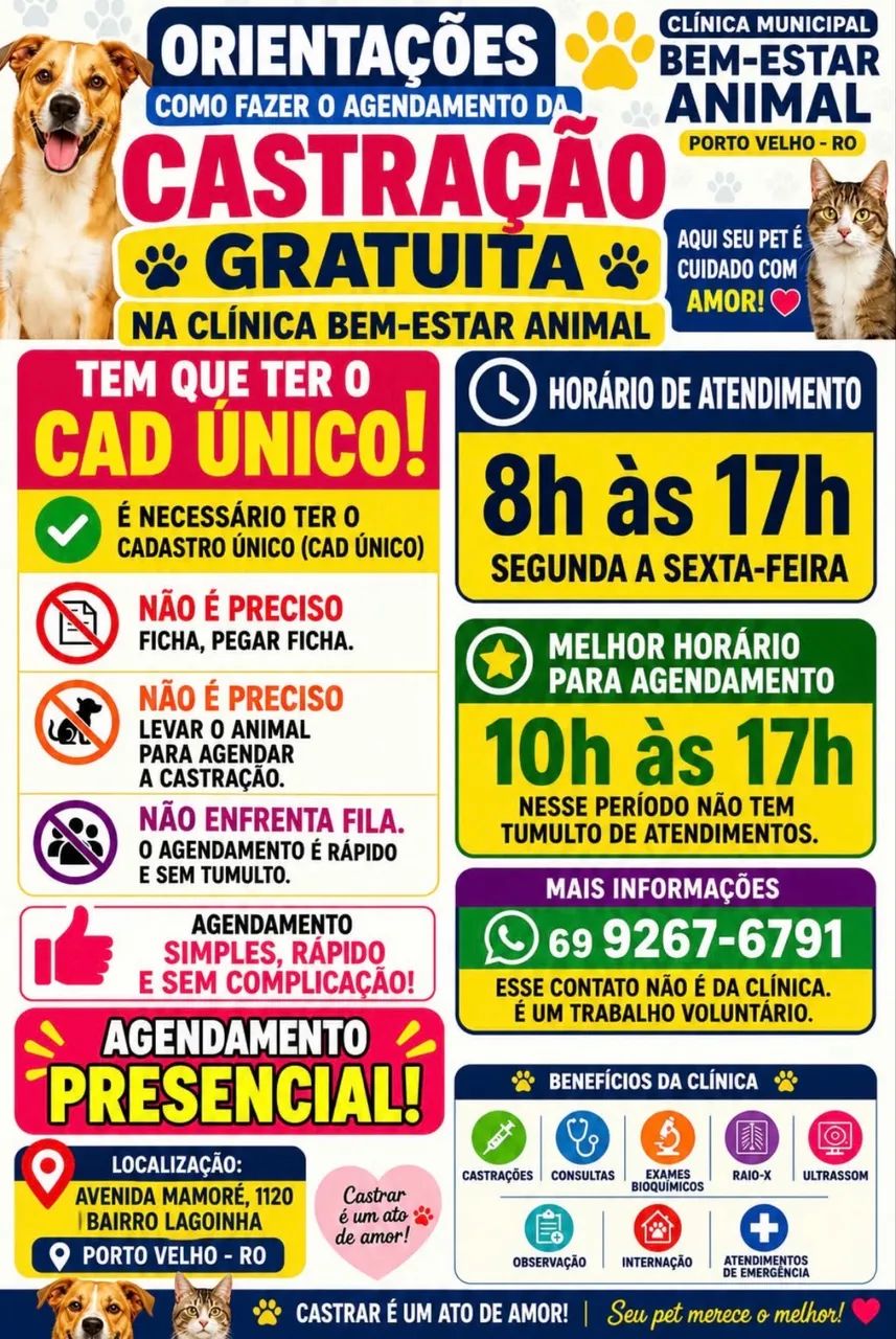 Gatinhos para Adoção  - Foto 2