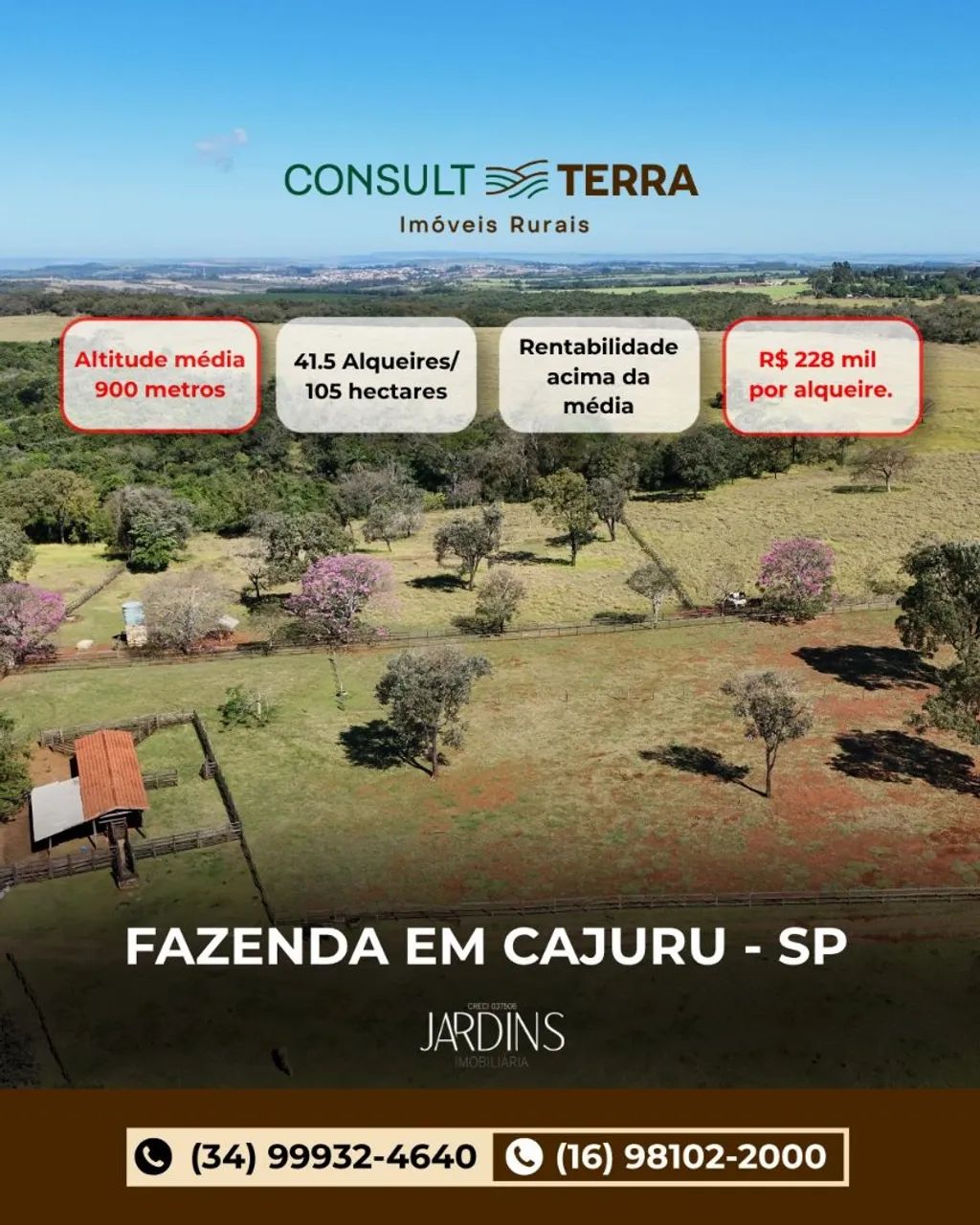 Fazenda em Cajuru-SP 
