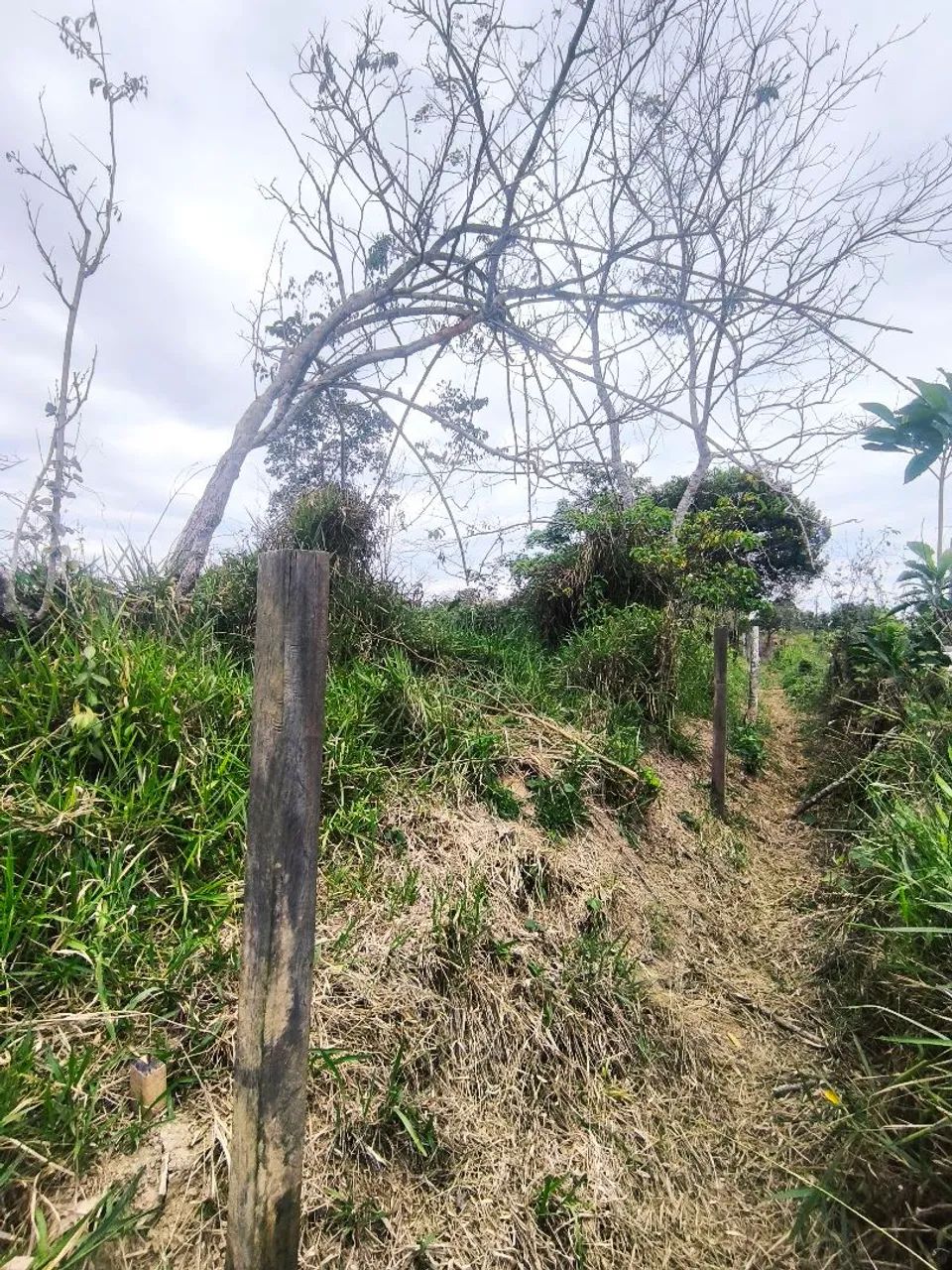 Terreno 10x30 - Foto 5