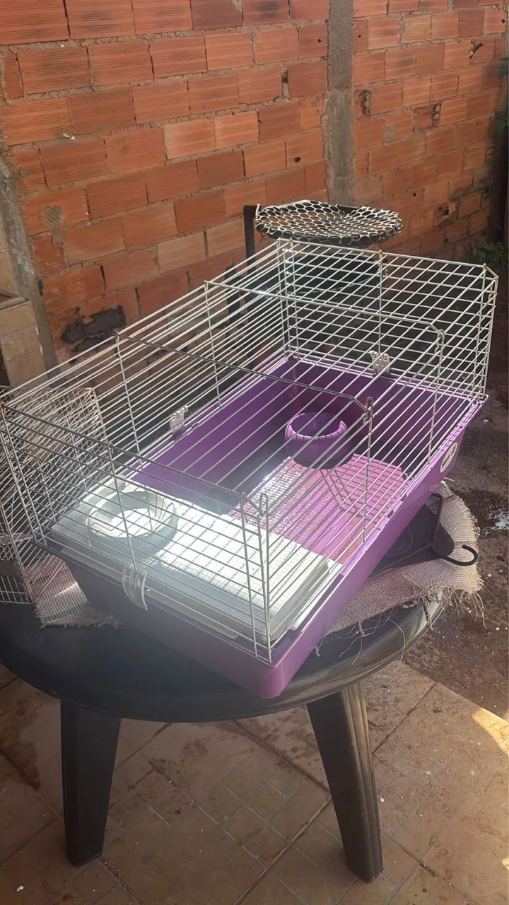  Gaiola Ferplast Cavie 80 para Roedores Violeta - Foto 2