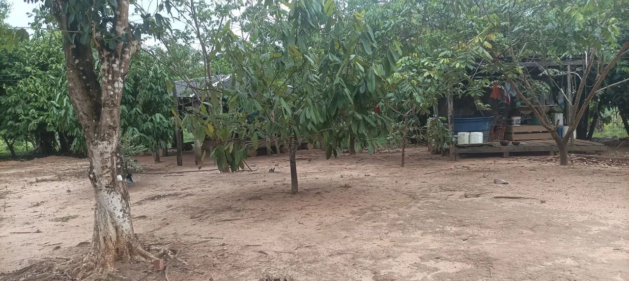Colônia com 15 hectares - Foto 3