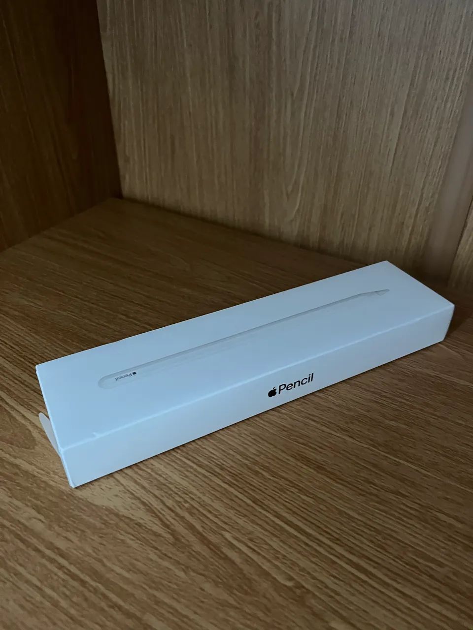 Apple Pencil 2ª geração original - Tablets e E-Readers - Zona 07