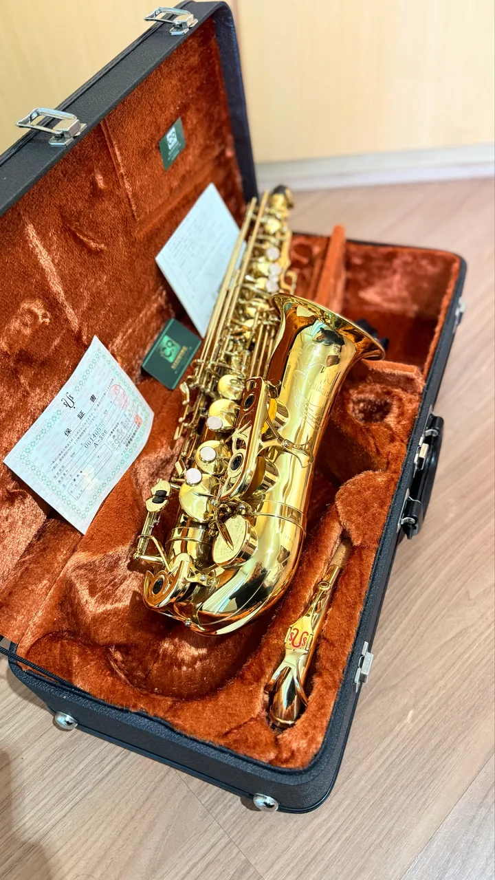 Sax alto AMATI KRASLICE AAS32 - Instrumentos musicais - Vila Santo