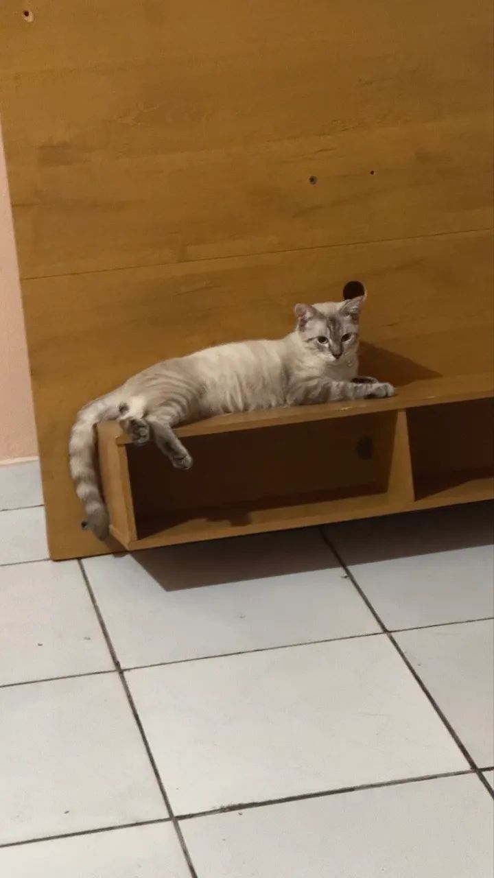 Doação 