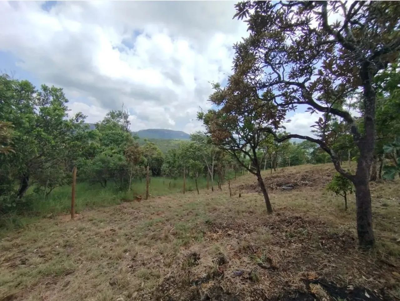 Vendo Chácara 1000m² vista para serra - Foto 3