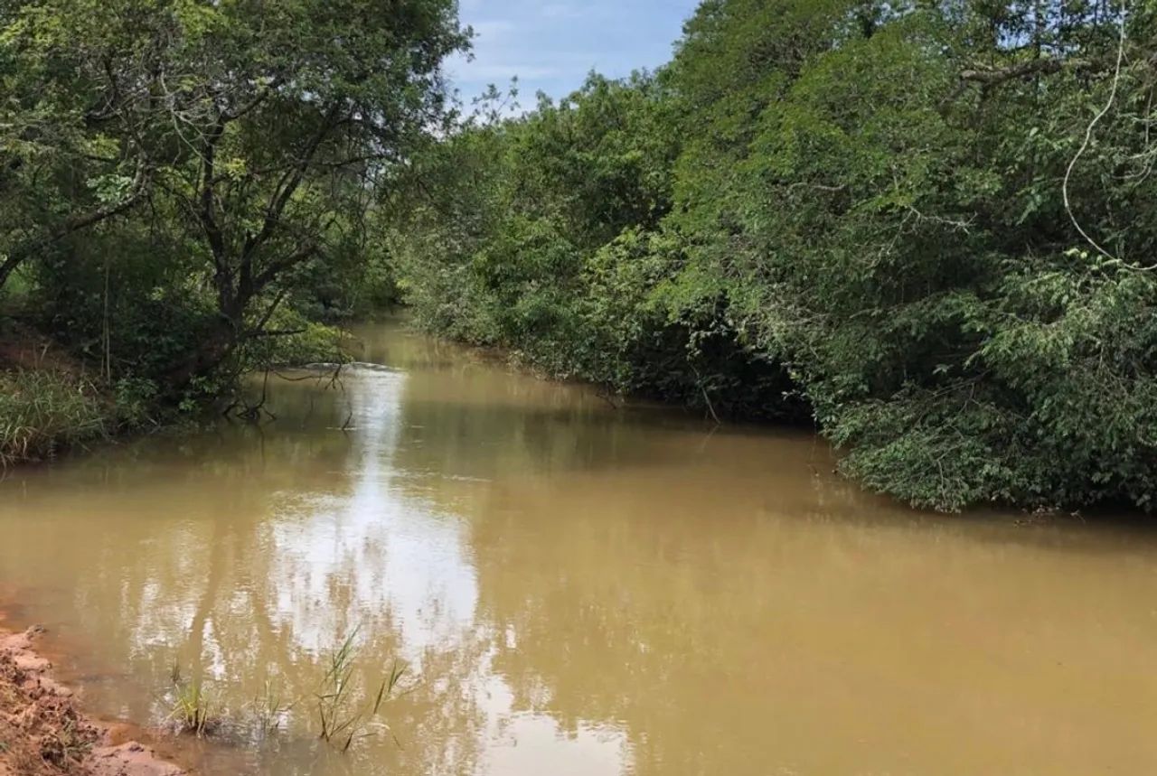 18 HECTARES -  BEIRA-RIO  - Foto 5