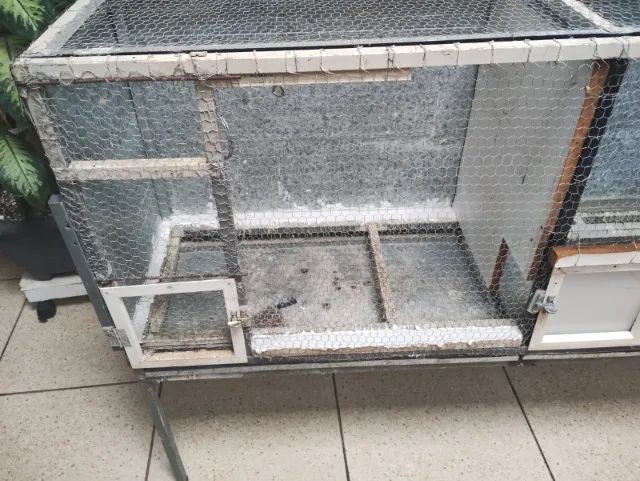 Viveiro para aves em geral