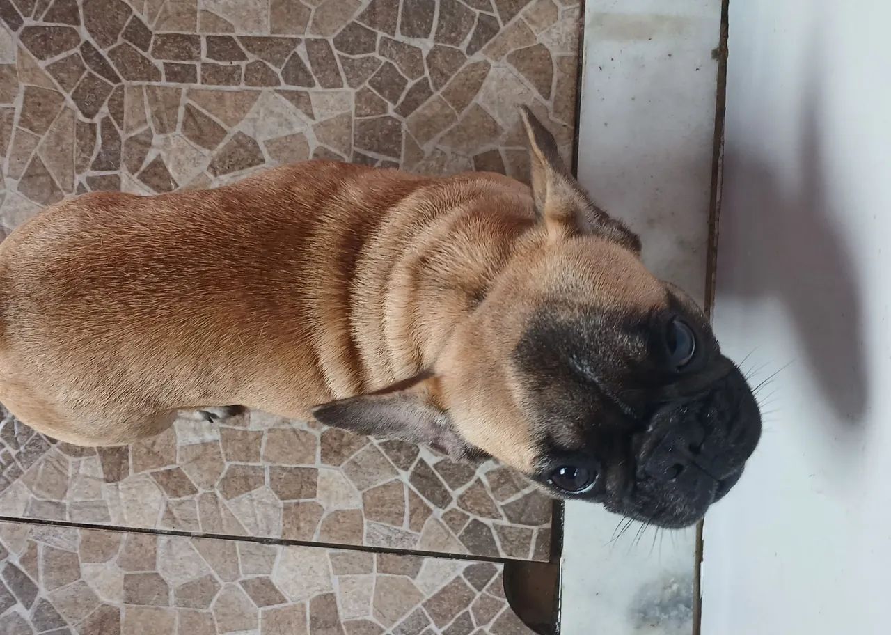 Vende-se 
