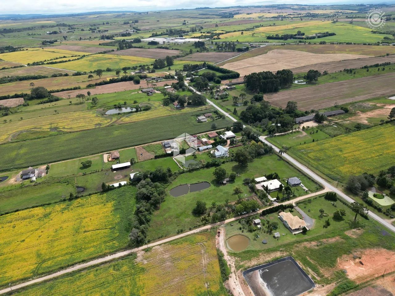 Aqui, a alegria é constante - Foto 2
