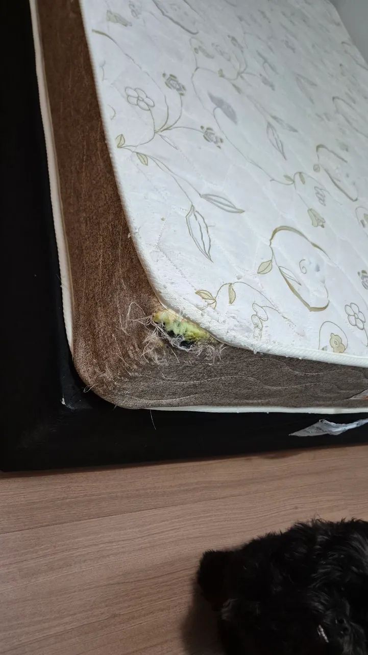 Cama box - Foto 5