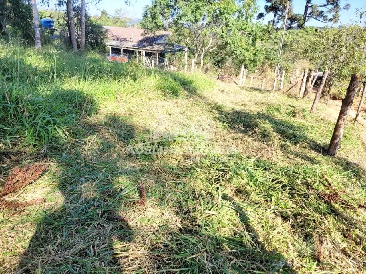 Terreno Catanduva Carambeí - Foto 5