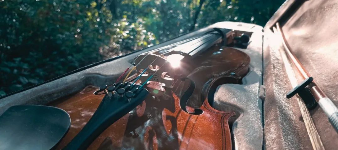 violino - Foto 4