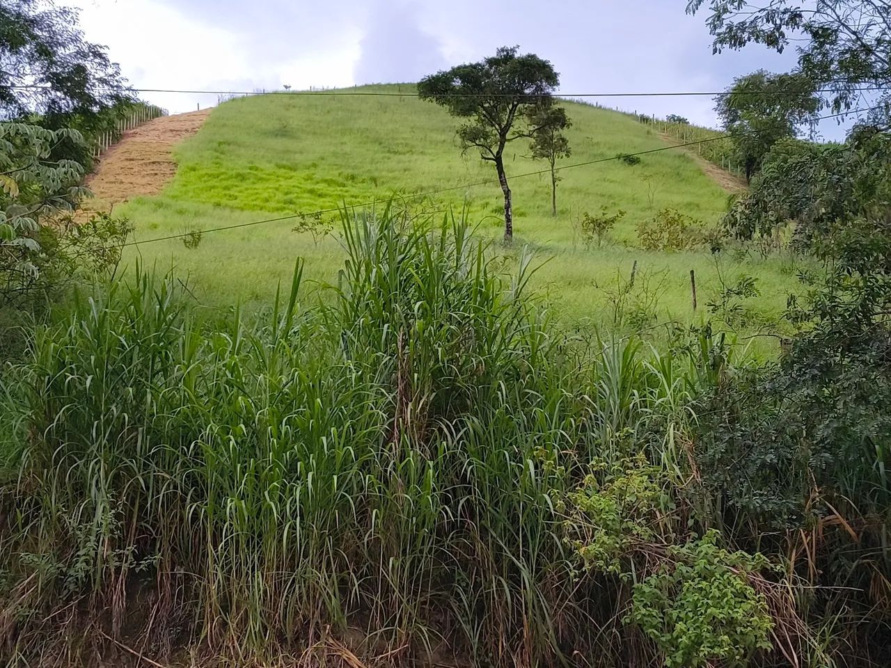 Oportunidade ! Venda                                                                       - Foto 5