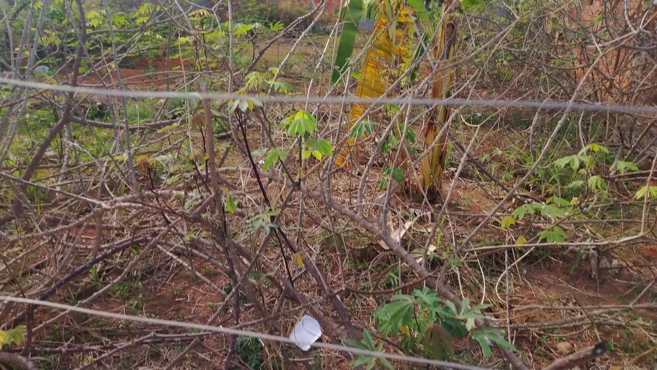 Lote em Aparecida de Goiânia  - Foto 2
