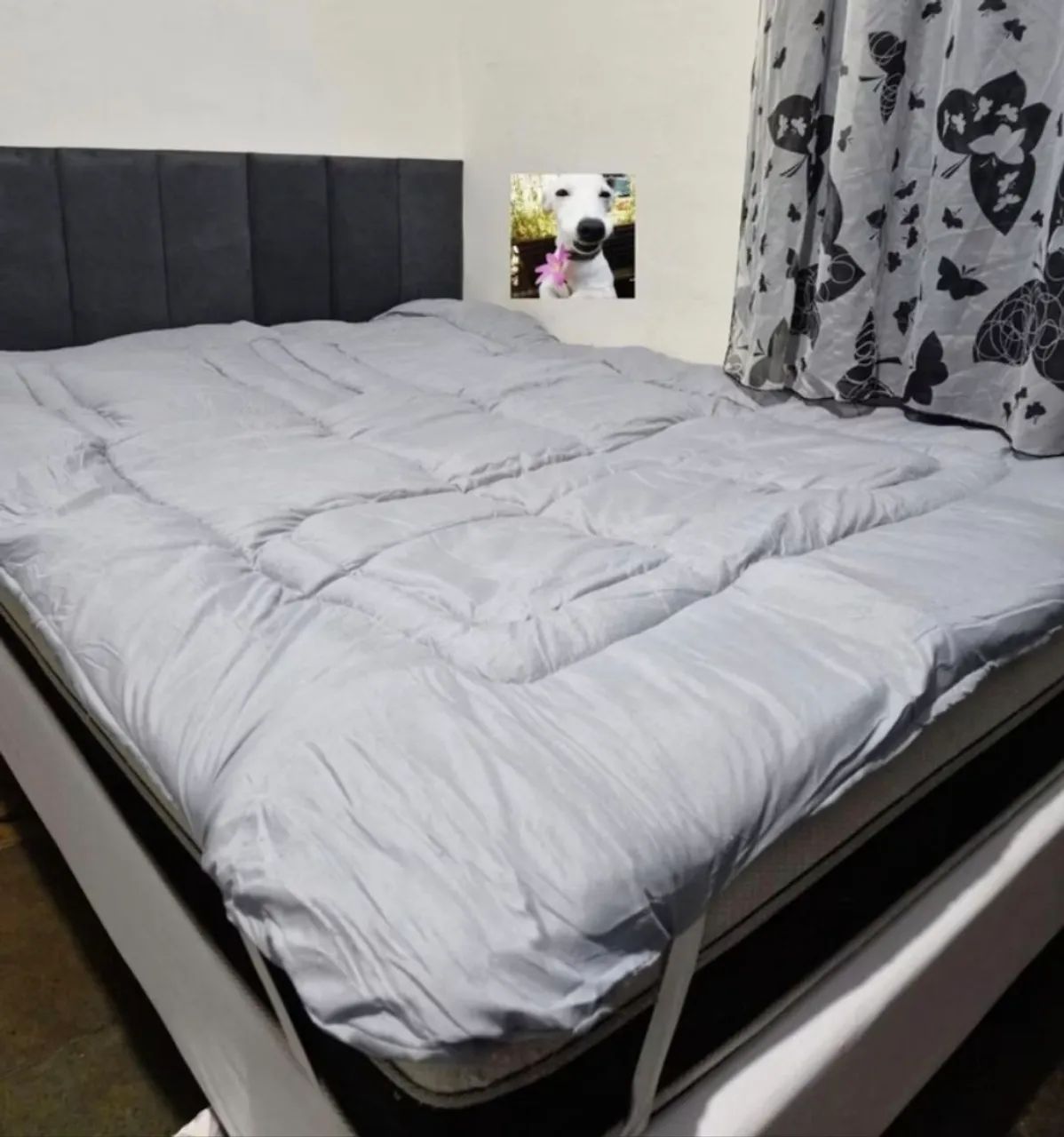 Cama box - Foto 2