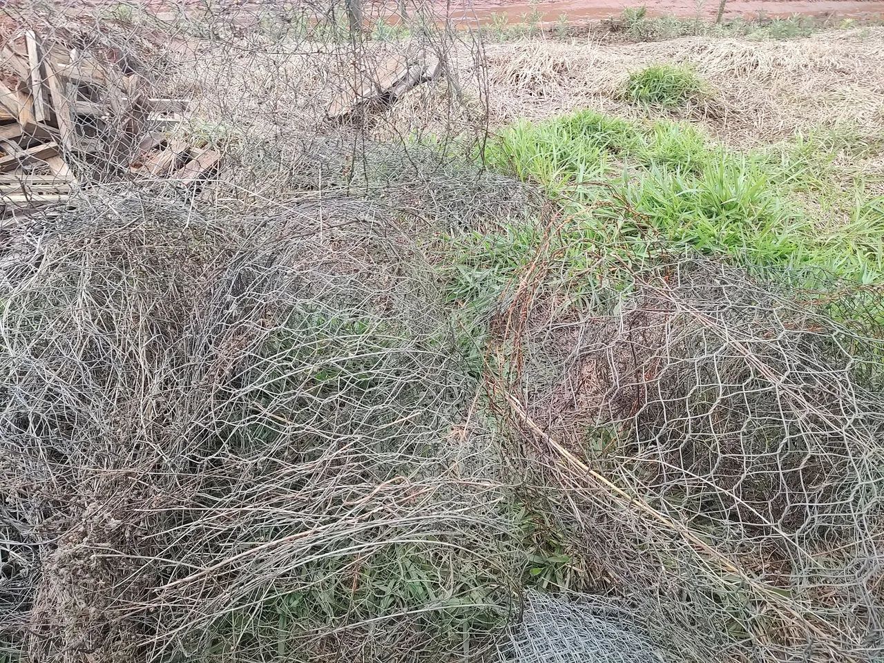 Tela de ferro - Foto 2