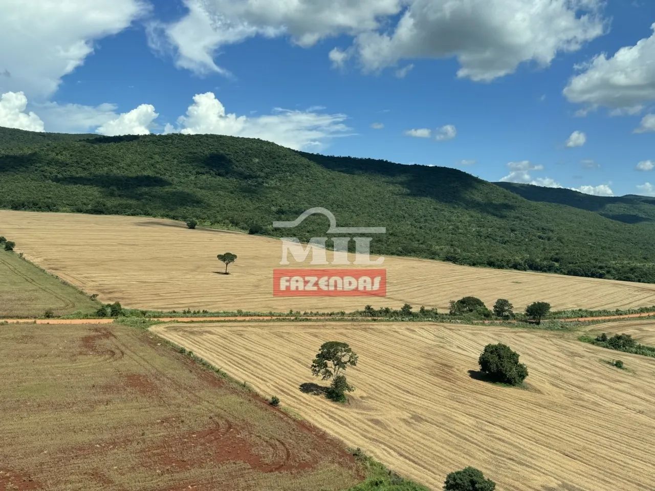 Fazenda em Barro Alto-GO. (350 Alqueires). Soja e Gado - Foto 2