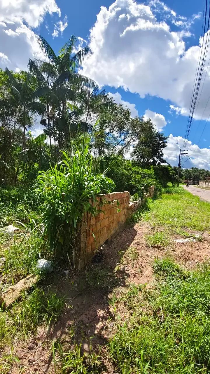 Sítio Terreno em Marituba - Foto 2