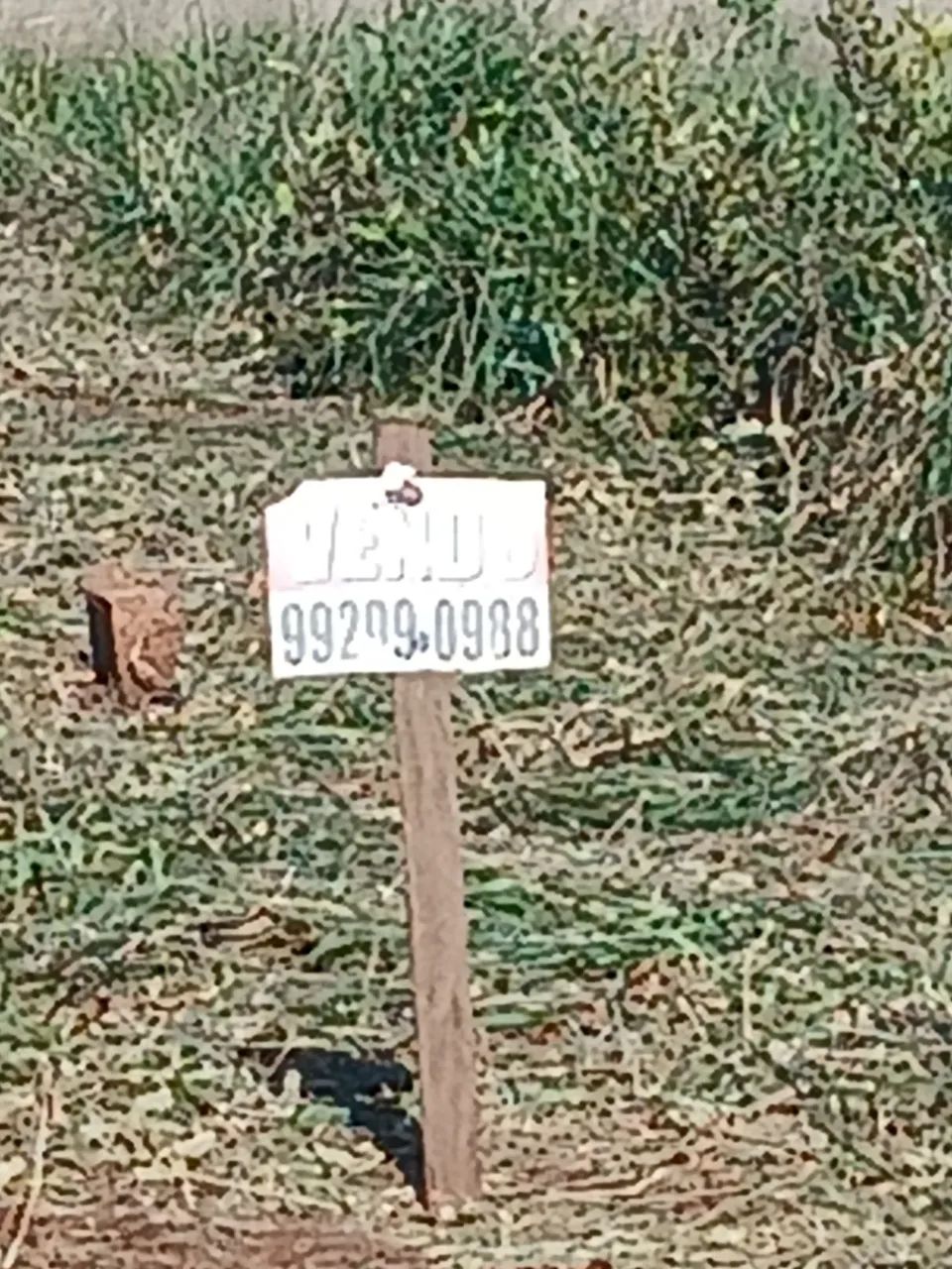 Vendo terreno  - Foto 2