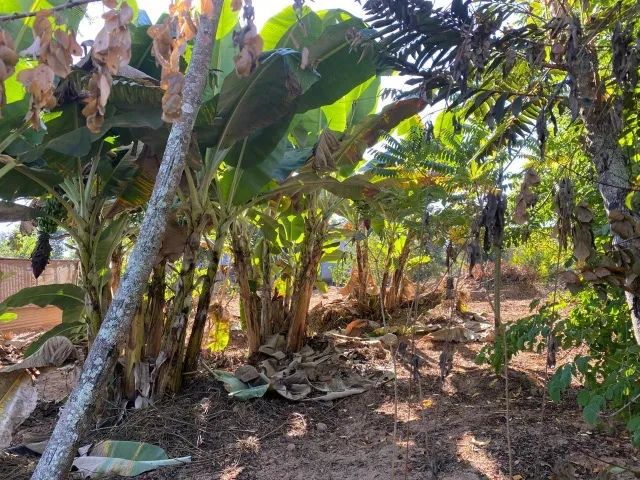 chácara a beira Rio para com casa 3 quartos  - Foto 2