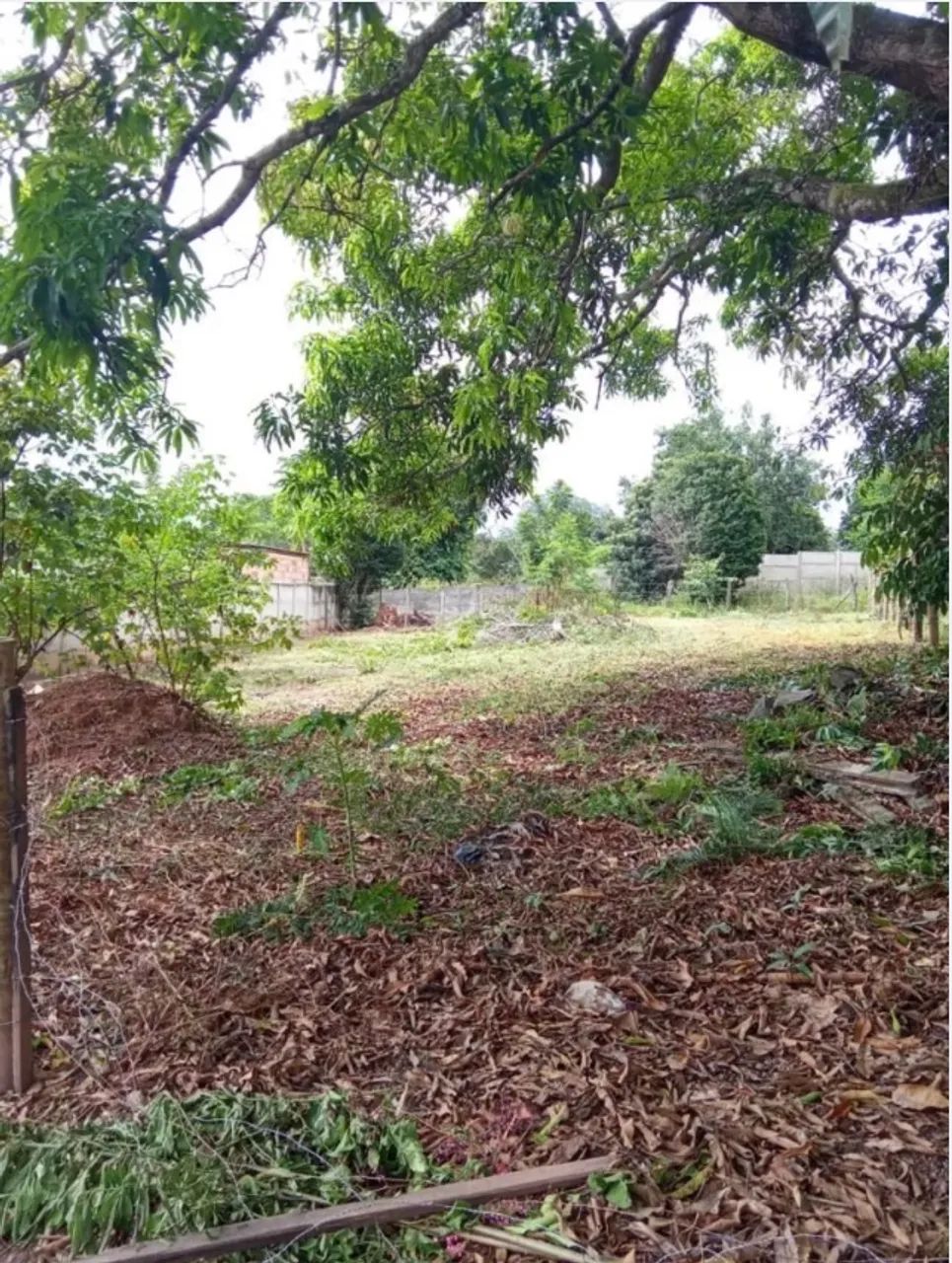Lote Três Marias - Foto 2