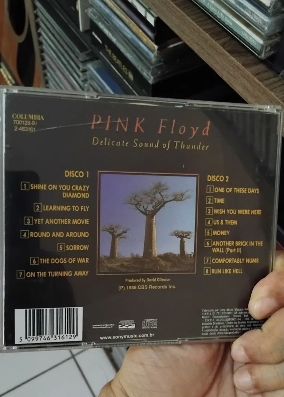 Pink Floyd Cd Duplo: Delicate sound of thunder - CDs, DVDs etc