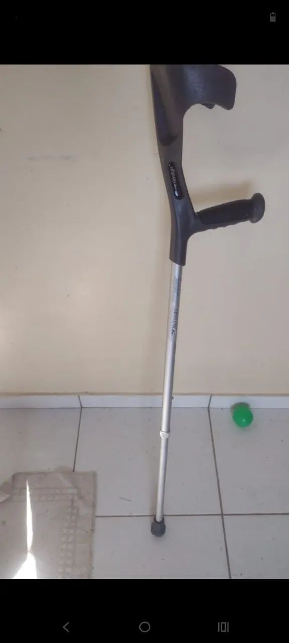 Muleta canadense  - Foto 2