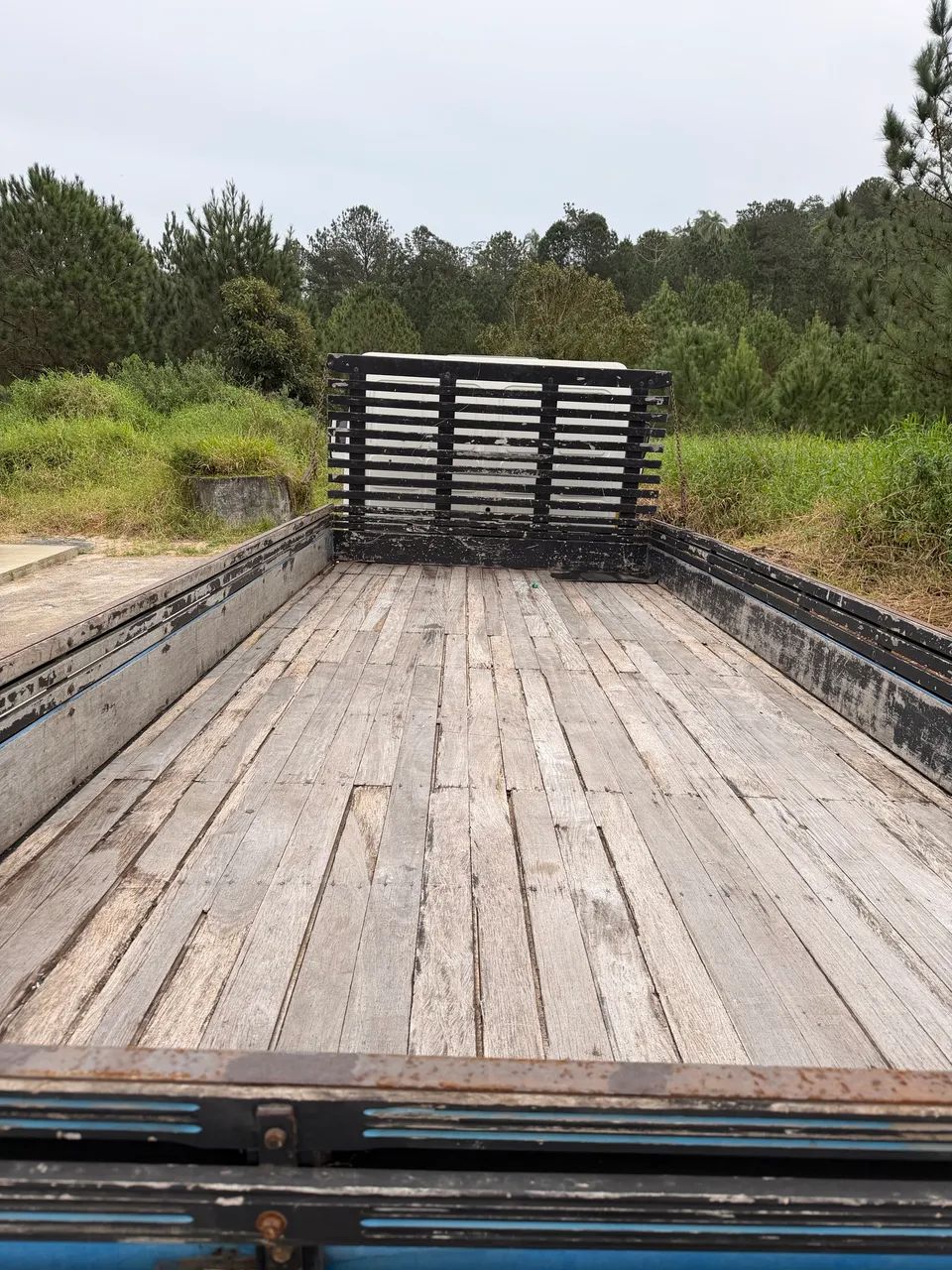 Cargo 815 2008 - Foto 4