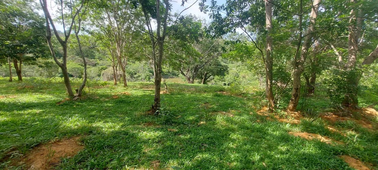 Terreno Comercial as margens da MG 010