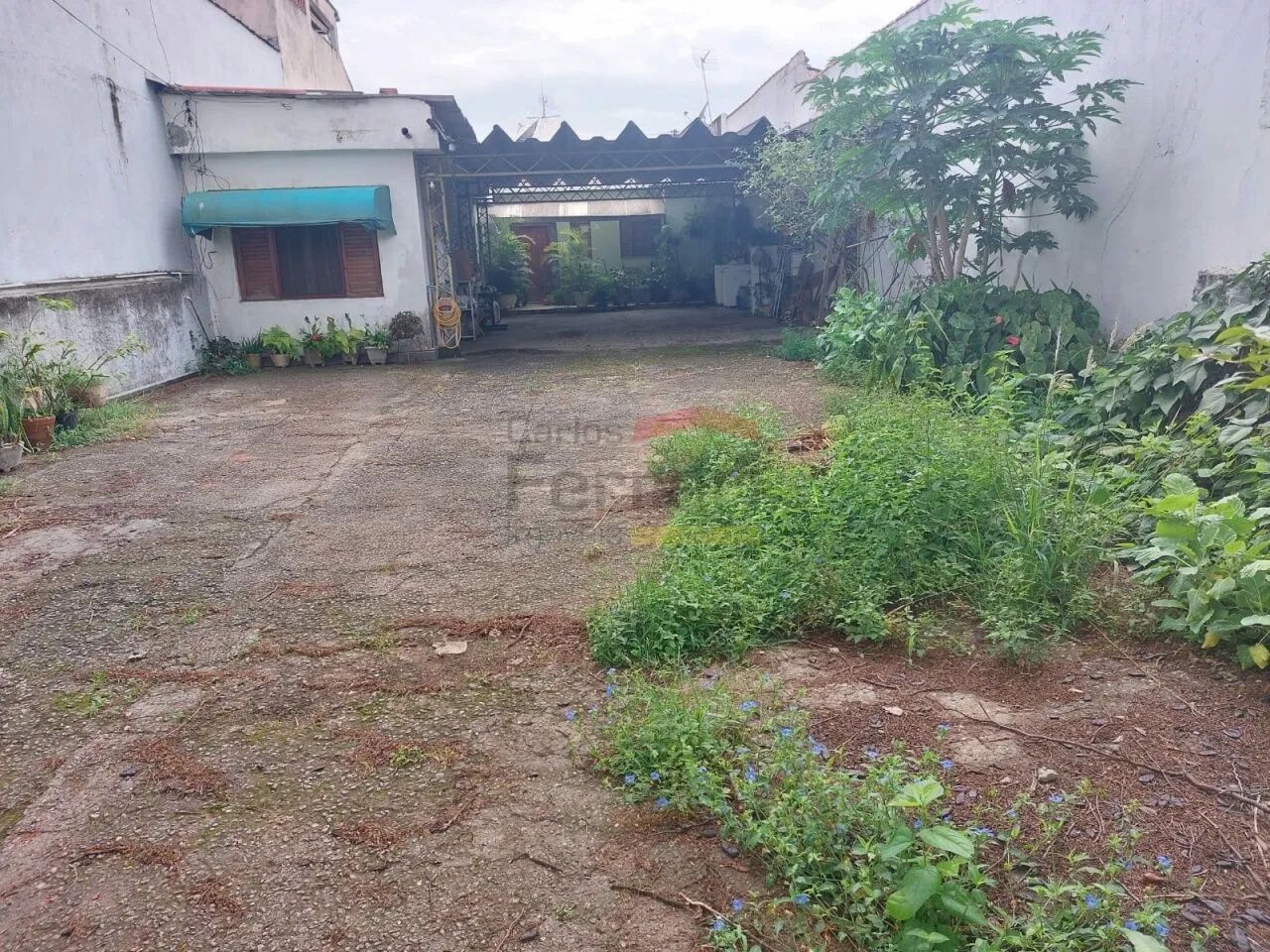 Terreno Plano com 300 m2 no Imirim - Foto 4
