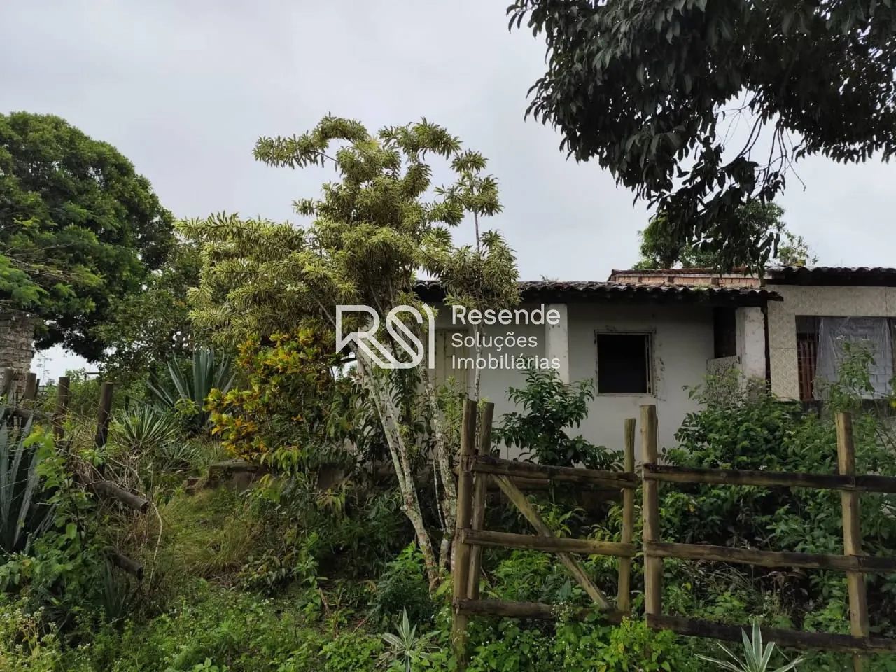 Sítio Para Vender no bairro em Boca Da Mata - Foto 5