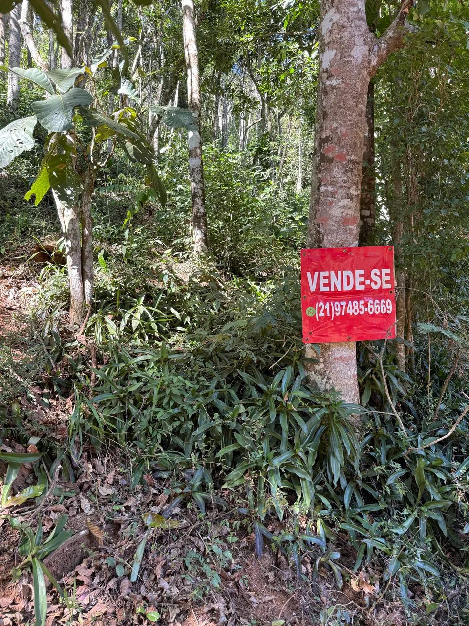 Terreno Vale Das Videiras