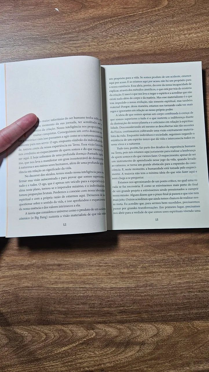 Propósito. A coragem de ser quem somos. Sri Prem Baba. Excelente estado de conservação. - Foto 5