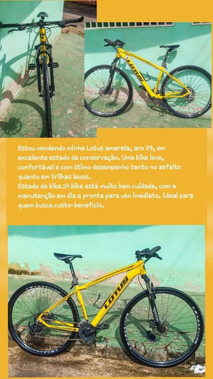 Bicicleta 