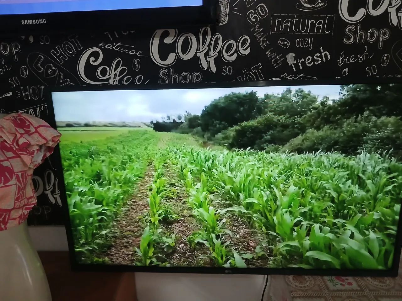Tv LG 43 polegadas smart com defeito com linhas na tela 