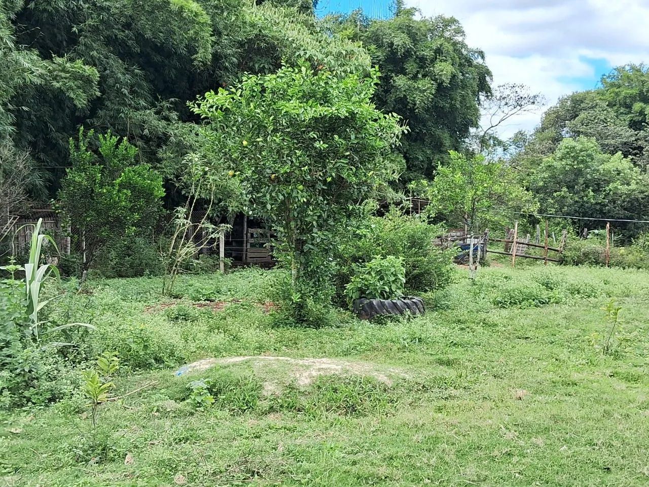 Venda  - Foto 3