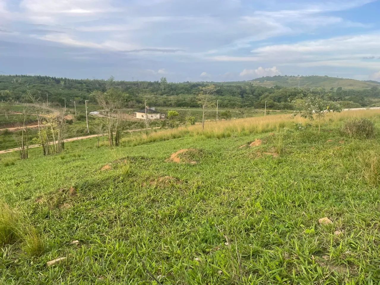 Terreno para vender em  Vitória de Santo Antão - Foto 3