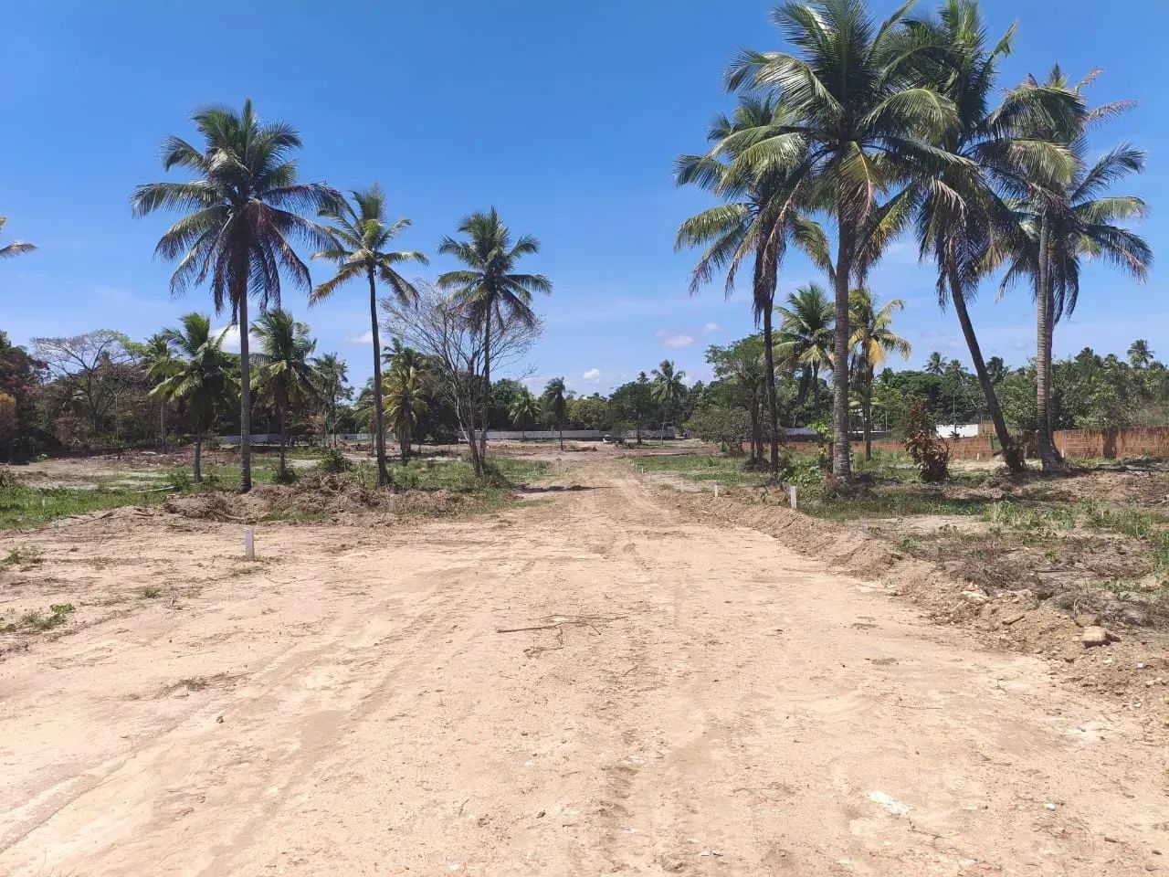 Terrenos para sitio prox. a Nova Cruz - Igarassu (parcelado) - Foto 2
