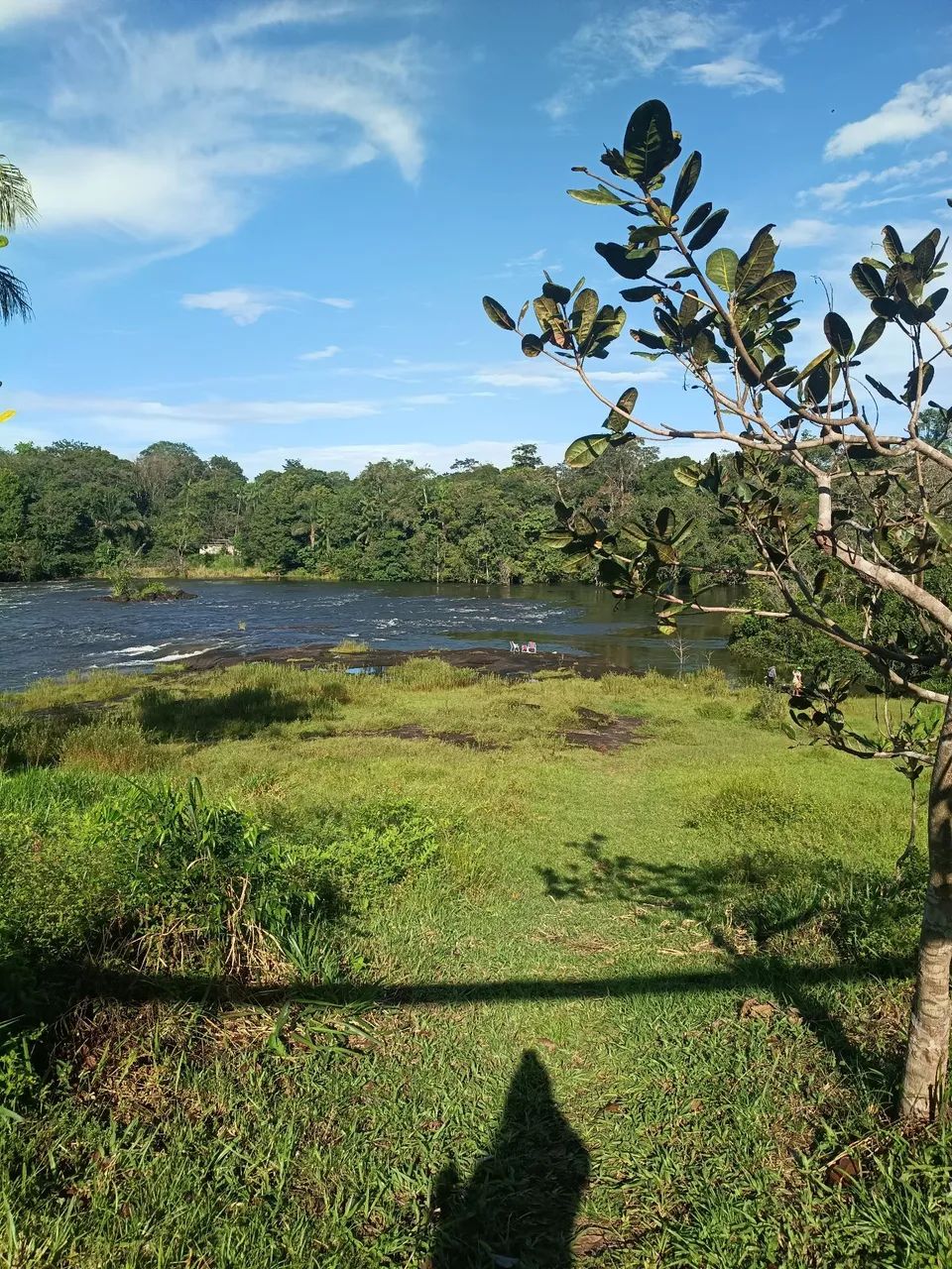 Fazenda com moradia  - Foto 5