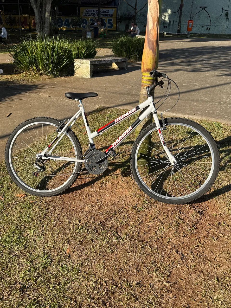 Bike Aro 26 Thunder 