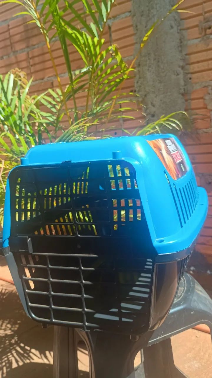 Caixa de transporte PET - Foto 2