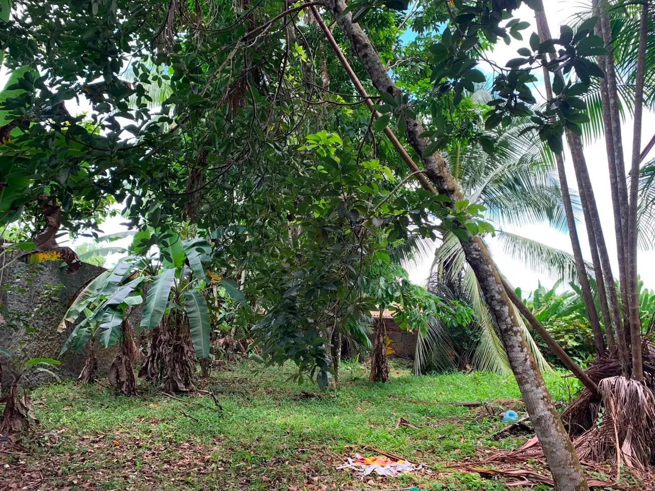 Vende-se terreno em mosqueiro  - Foto 3