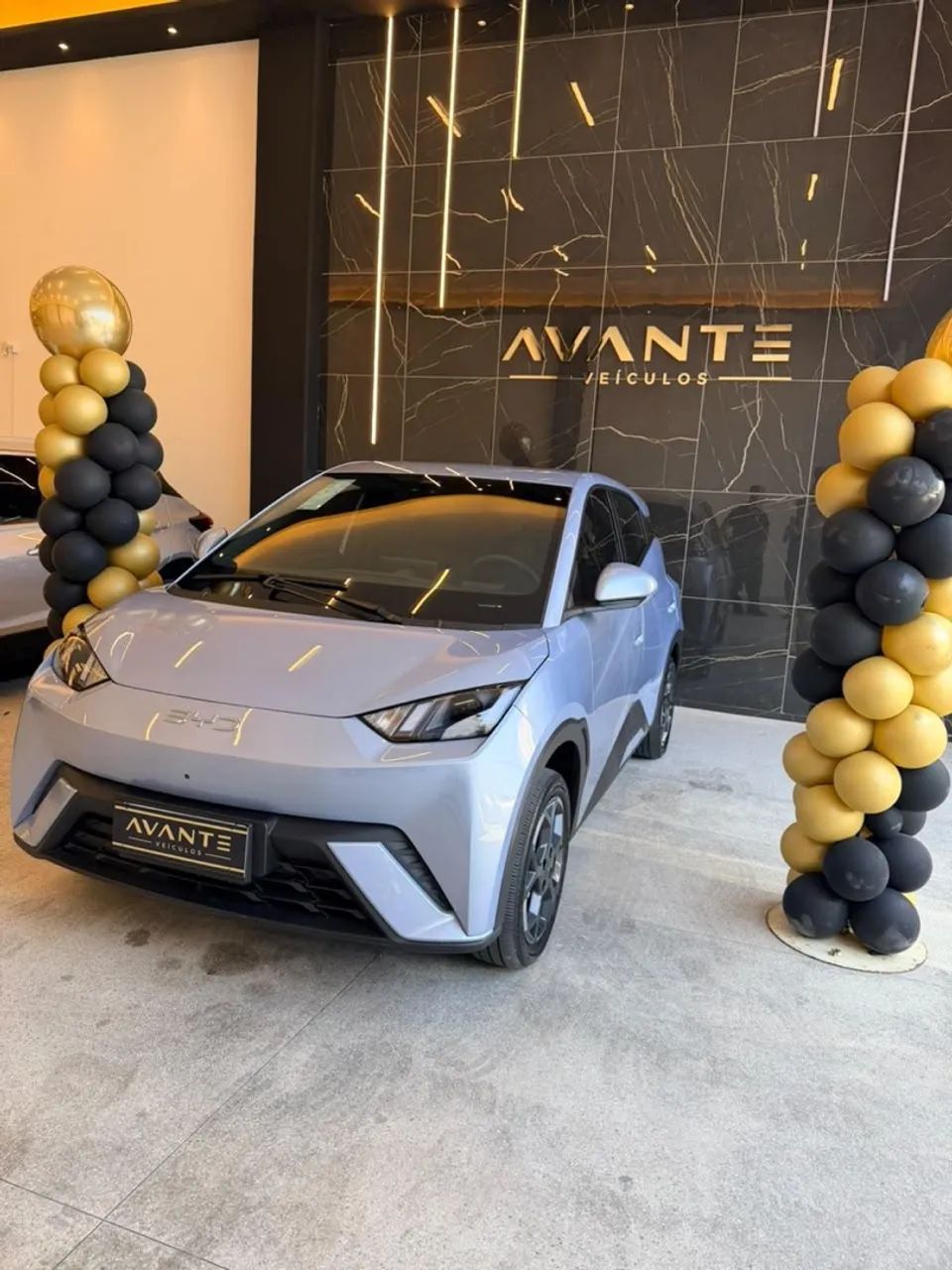 BYD Dolphin Mini (Elétrico) 2027 - Foto 3