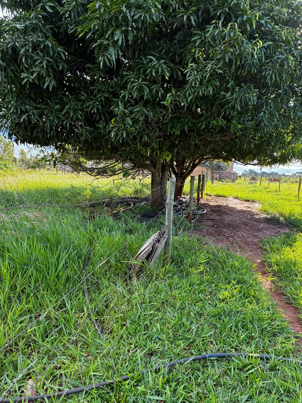 Vendo sítio 4 alqueire ou permuta - Foto 4