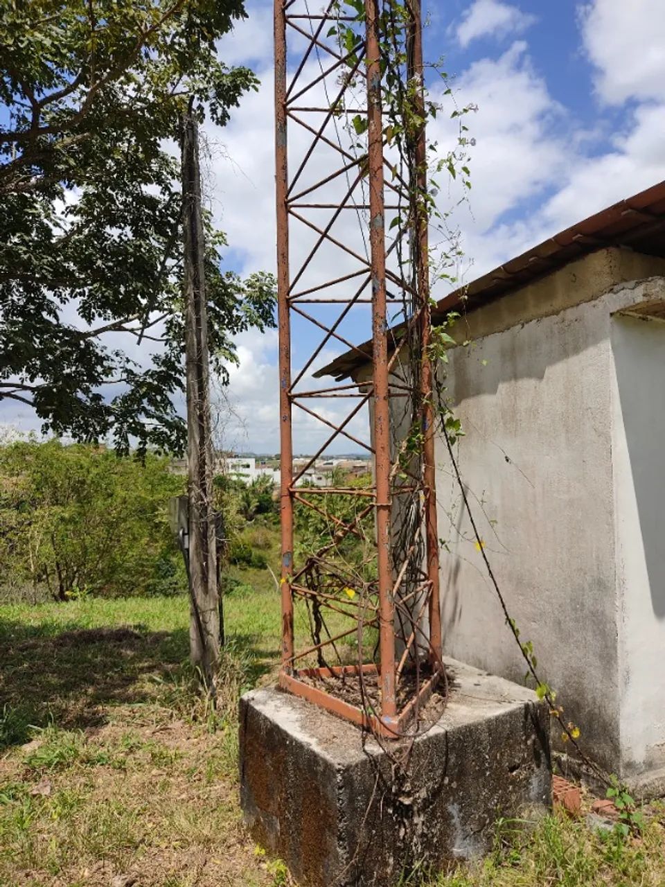 TORRE INTERNET