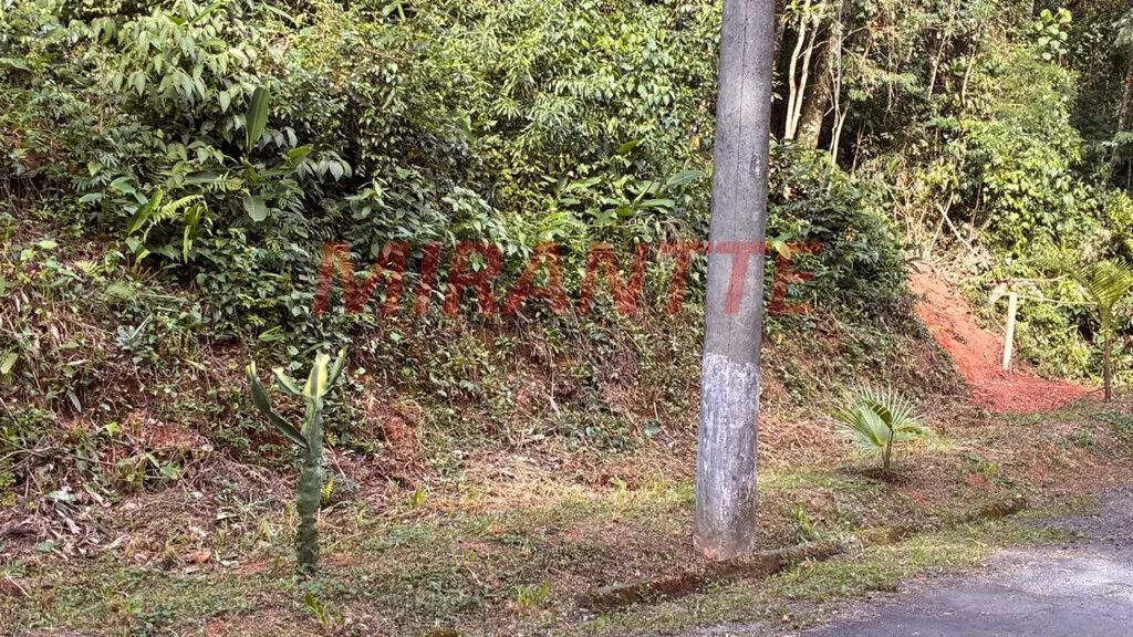 Terreno em Serra da Cantareira - Foto 5