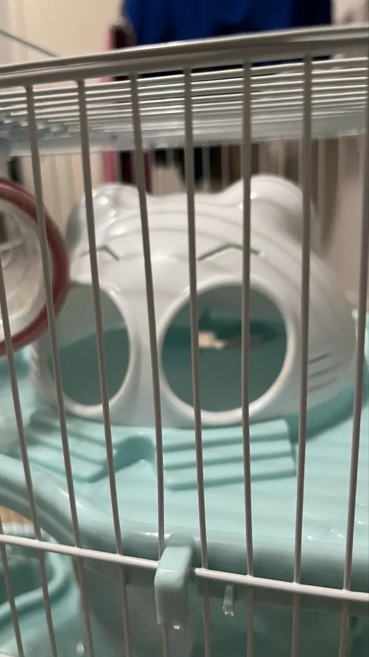 Gaiola para hamster safari grande - Foto 4